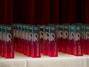 springer-verlag-WEB-85